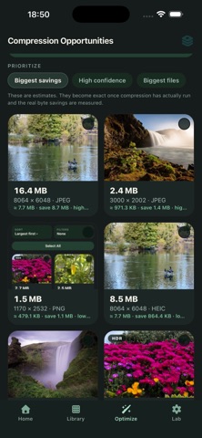 Sqizzi Screenshot 5 of 5
