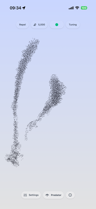 Starling Murmurations Screenshot 3 of 8