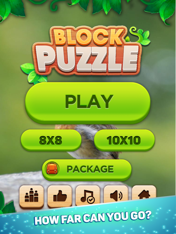 Screenshot #4 pour Block n Sudoku
