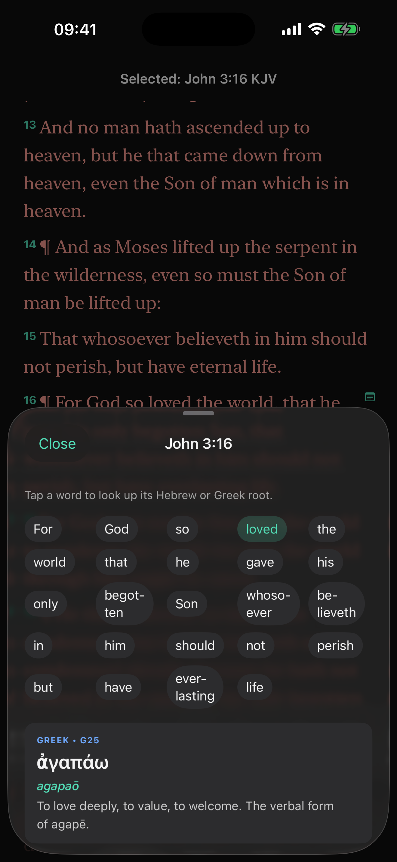 Bible Seek screenshot 4