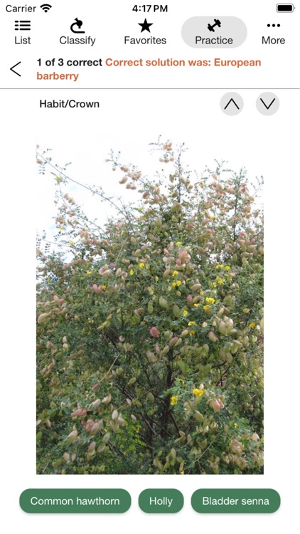 iForest - Trees & Bushes screenshot-3