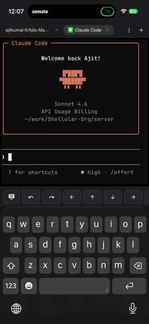 Shellular iPhone screenshot 2