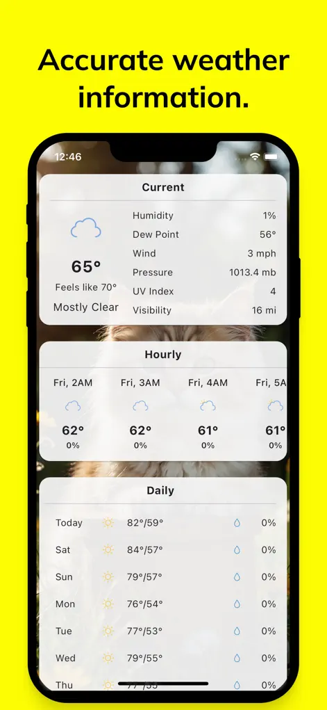 Meow Weather - Cat Forecast - Weather App | MWM