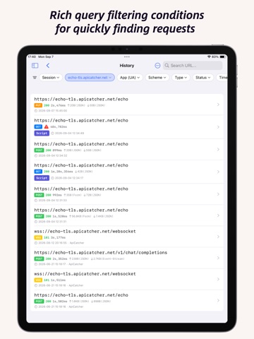 ApiCatcher - Capture HTTPS iPad screenshot 2