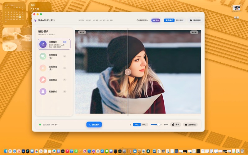 NekoPicFix screenshot