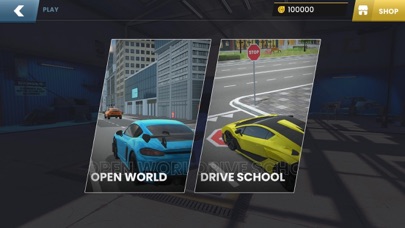 Car Driving : EVO Screenshot