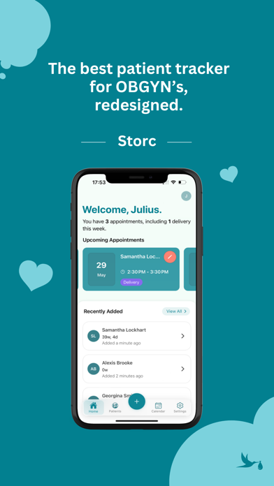 Storc: OB Patient Tracker Screenshot