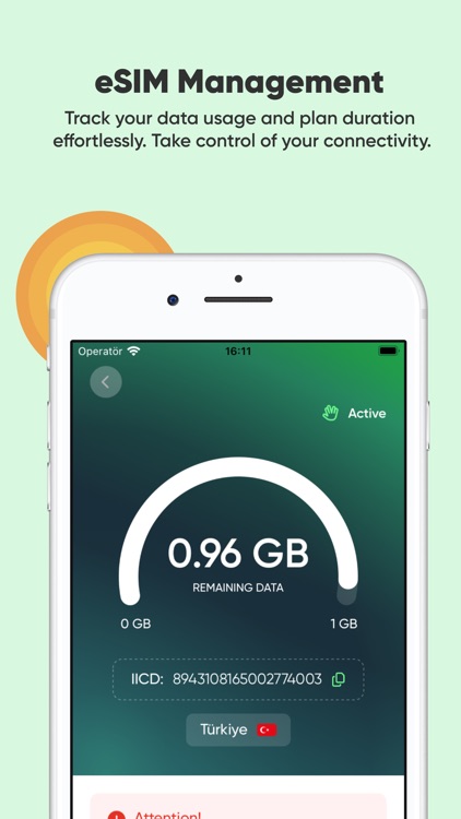 Roafly: eSIM Data for Travel screenshot-4