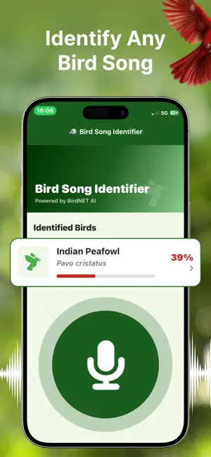 Bird Song Finder screenshot 3