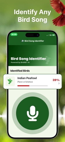 Bird Song Finder Screenshot 3 of 6