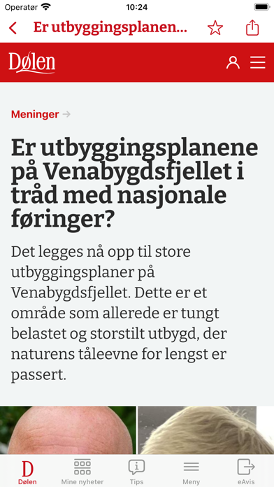 Dølen Nyheter Screenshot