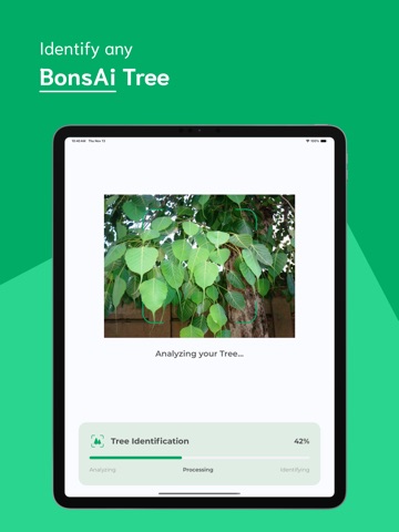 Tree Identifier - TI iPad screenshot