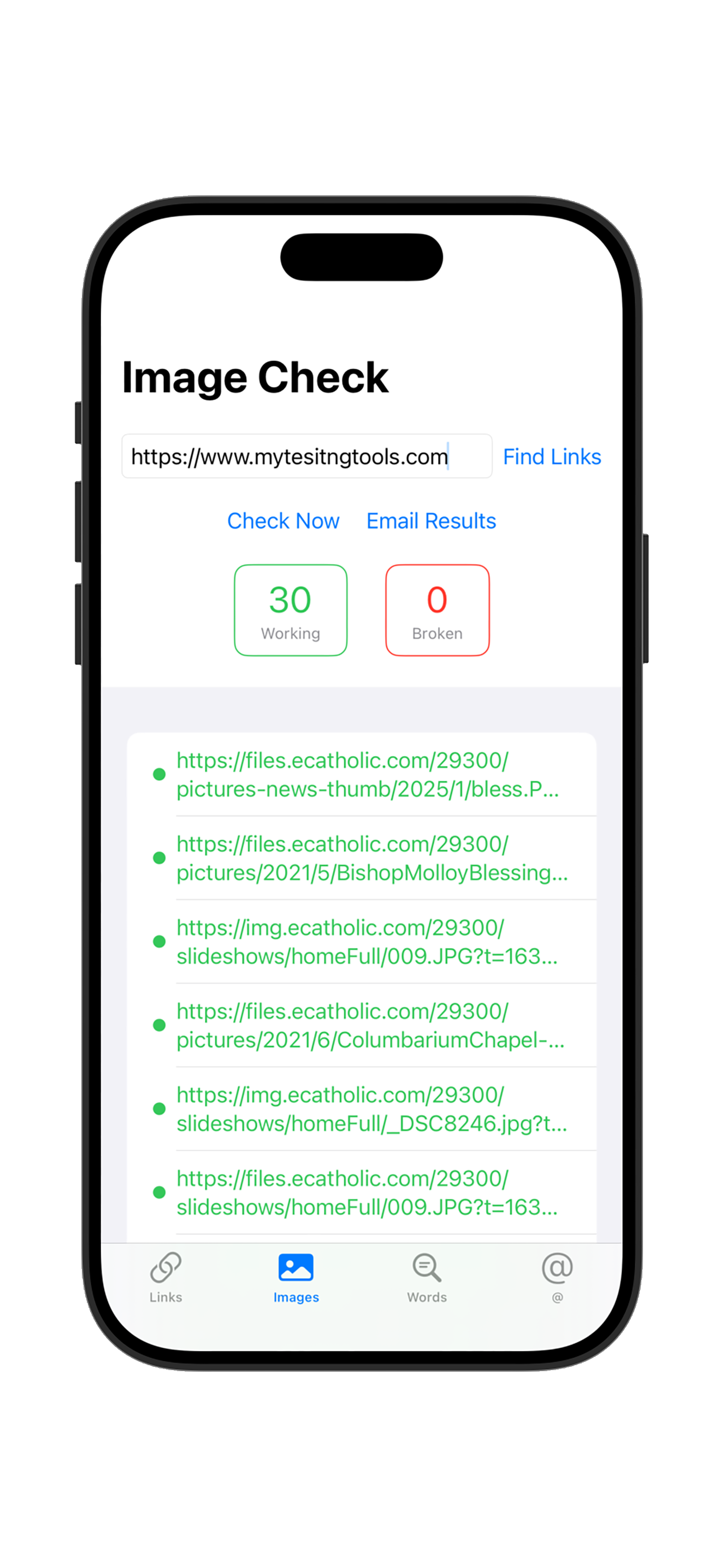 Link Check Pro screenshot 2