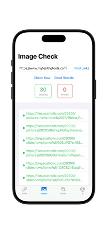Link Check Pro screenshot