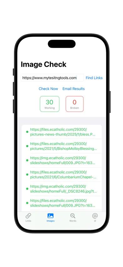 Link Check Pro screenshot 2