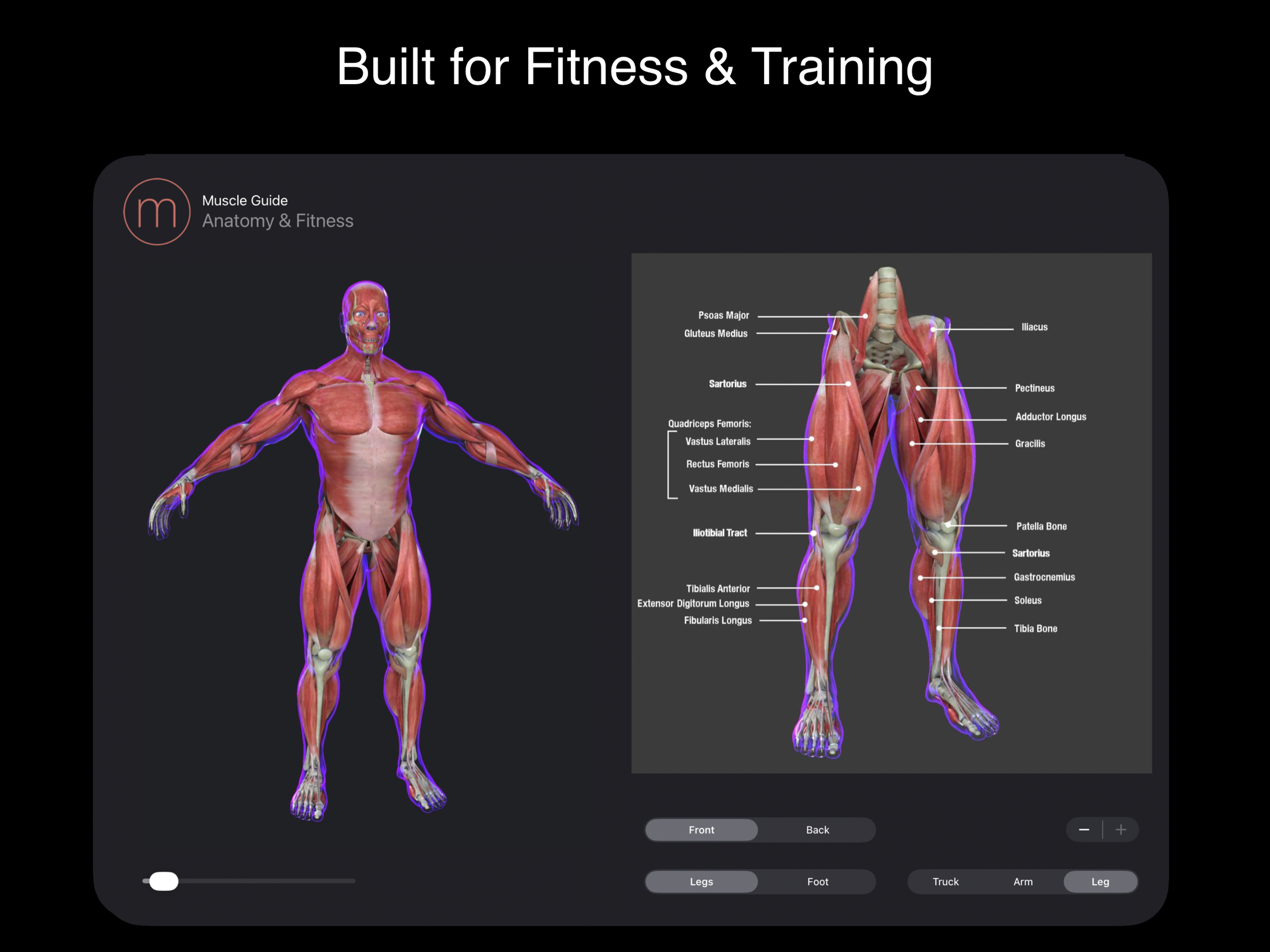 Fitness Muscle Guide screenshot 10