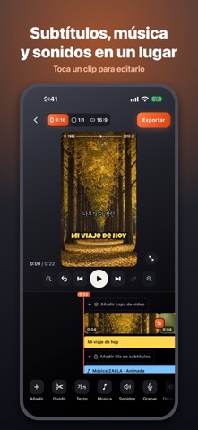 ZALLA - Editor de video screenshot 2