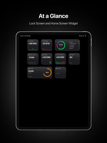 Lode: AI Expense Tracker iPad screenshot
