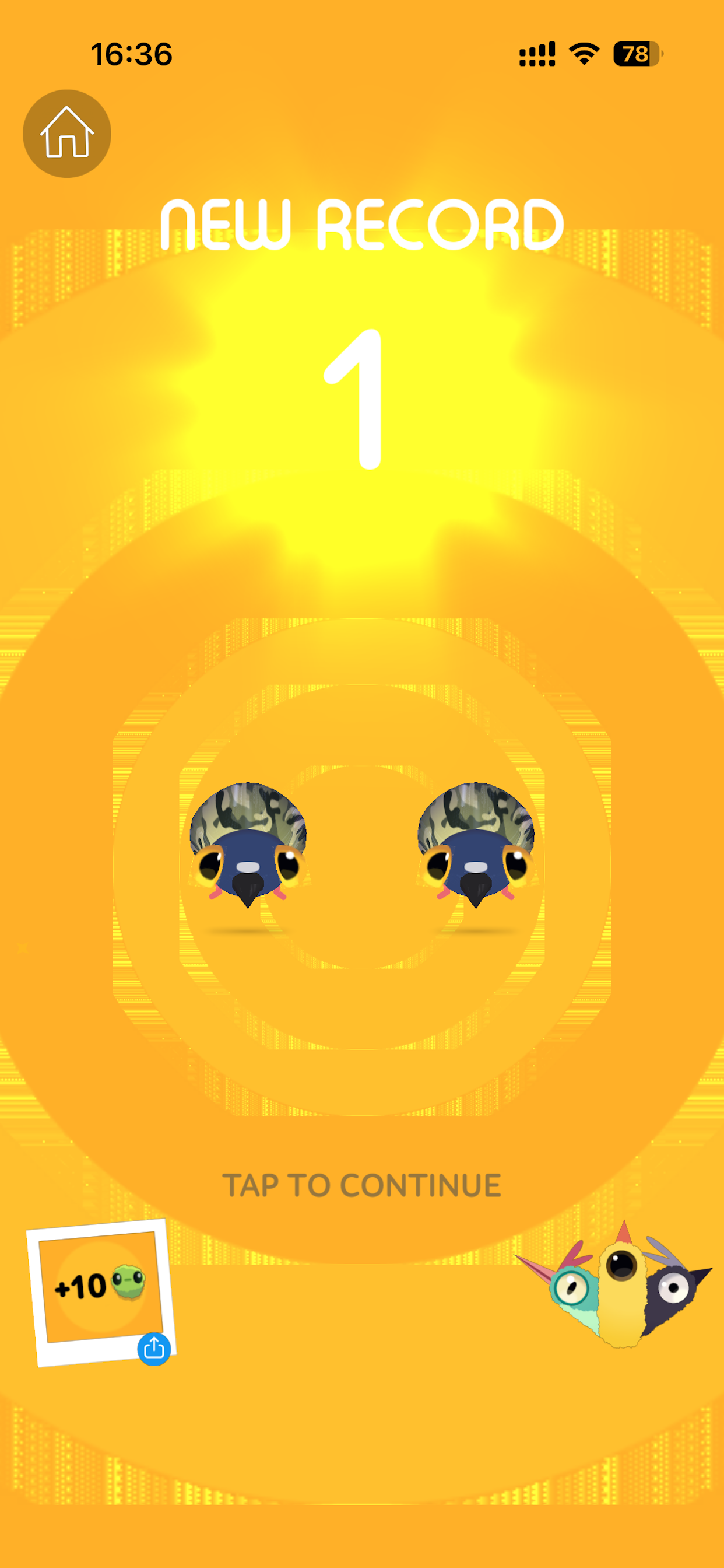 Mad Pigeons screenshot 4