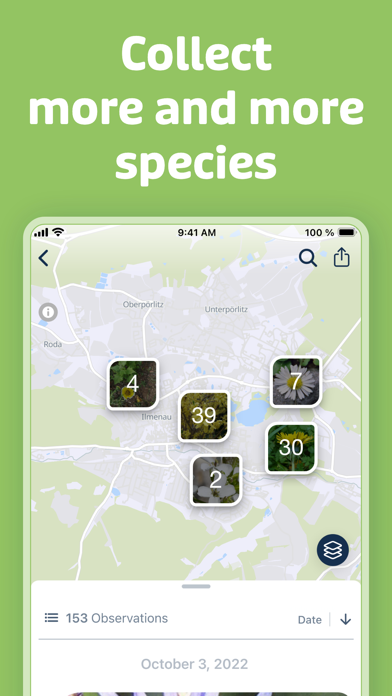 Flora Incognita Screenshot