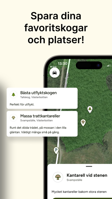 Hitta Skog: Svamp och Bär Screenshot