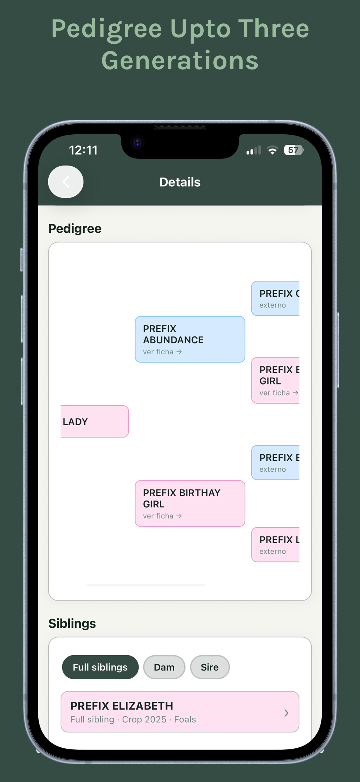 Polo Breeders screenshot 2