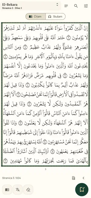 Nur BA screenshot 3