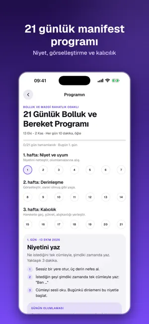 Manifestly: Olumlama ve Niyet screenshot 3