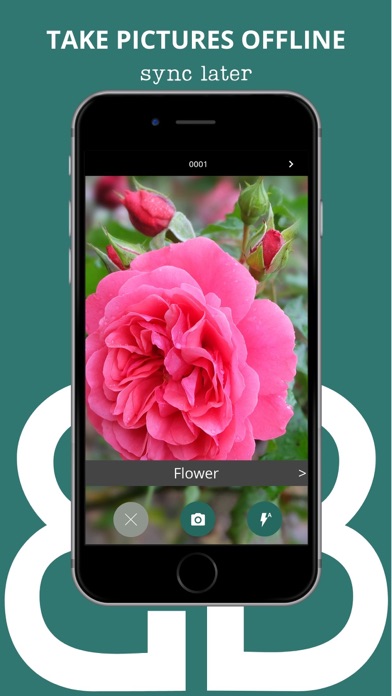 E-Brida Screenshot