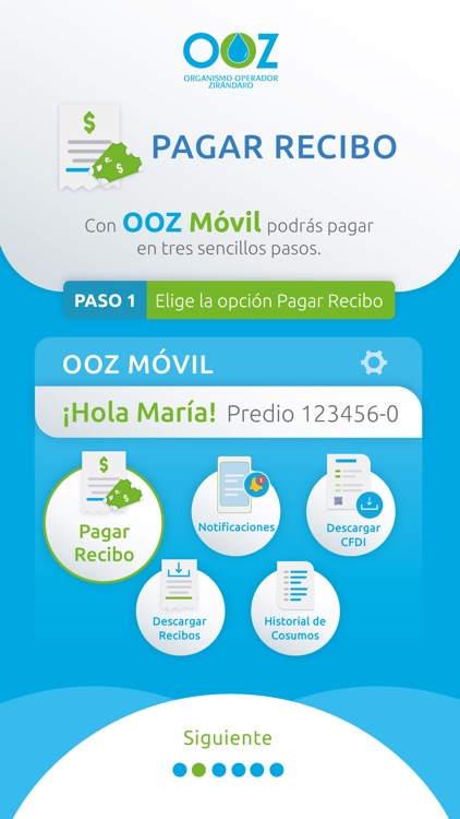 OOZ - Pagos y Consultas screenshot-4
