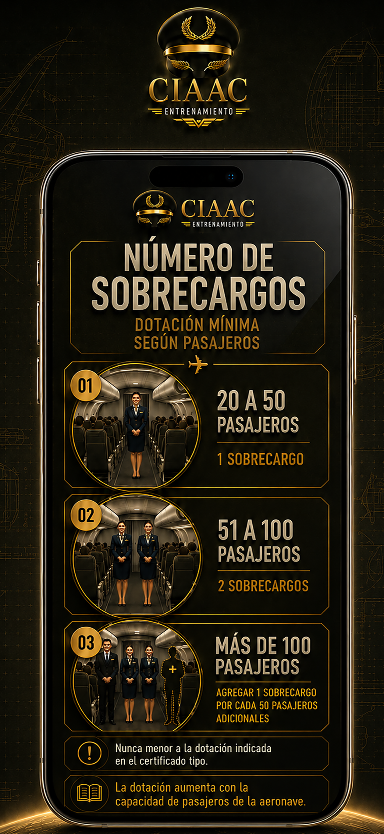 PREP CIAAC: Piloto Comercial screenshot 8