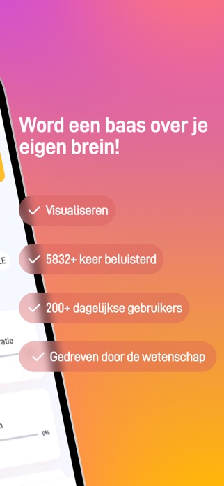 Breinbaas Academy Screenshot 2 of 5