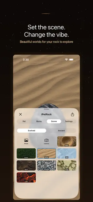 iPetRock screenshot 4