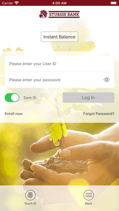 Sturgis Bank Screenshot