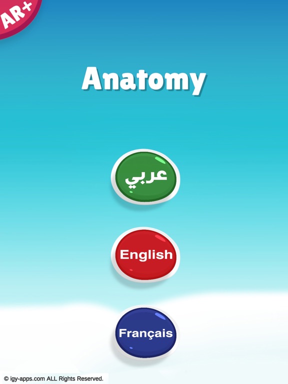 Screenshot #4 pour Anatomie Humaine AR 4D