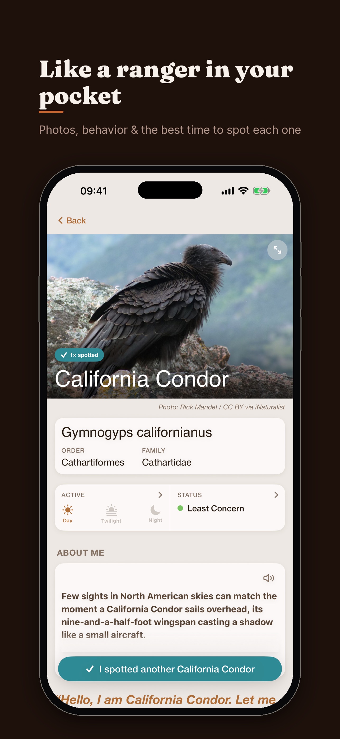 Screenshot 3 of Grand Canyon Wildlife Safari