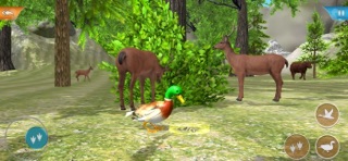 Duck Game Bird Simulator Screenshot 5 of 6