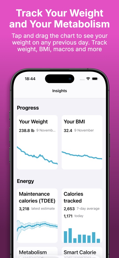 Gym Geek Calorie Counter - This tool provides comprehensive progress tracking with visual graphs for weight and BMI, alongside summaries for maintenance calories (TDEE) and tracked calories.