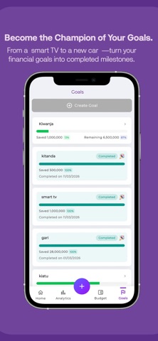 Bajeti Plus screenshot