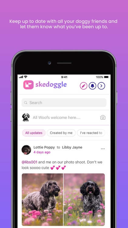 skedoggle screenshot-4