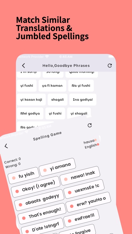 Learn Hausa For Beginners screenshot-4
