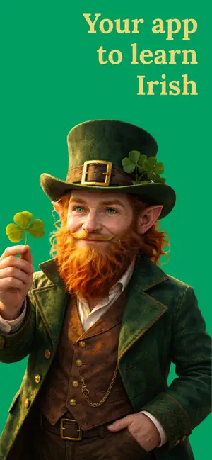 Learn Irish (Beginners) screenshot 1