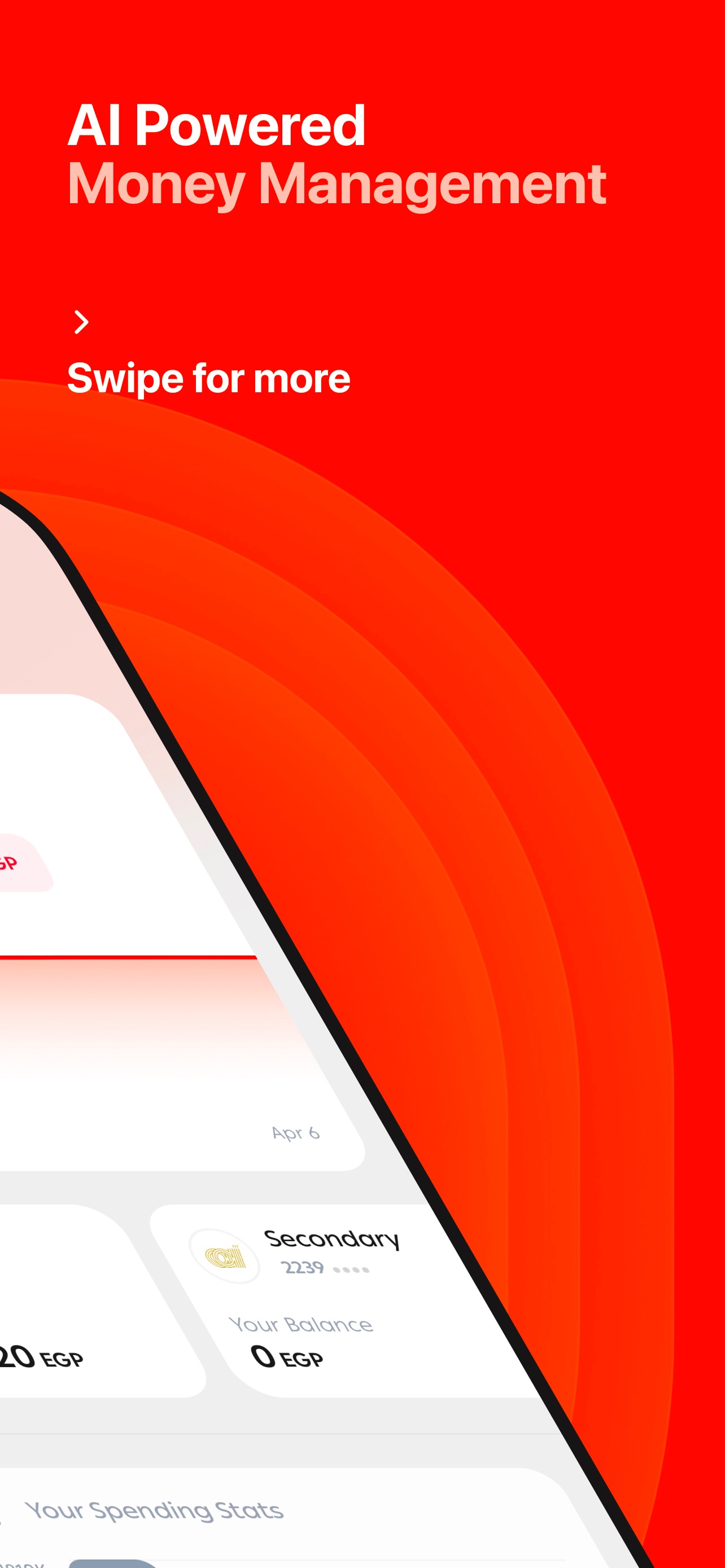 MoneyLoop: AI Money Manager screenshot 2