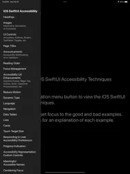 Accessibility Techniques ipad bilder 1