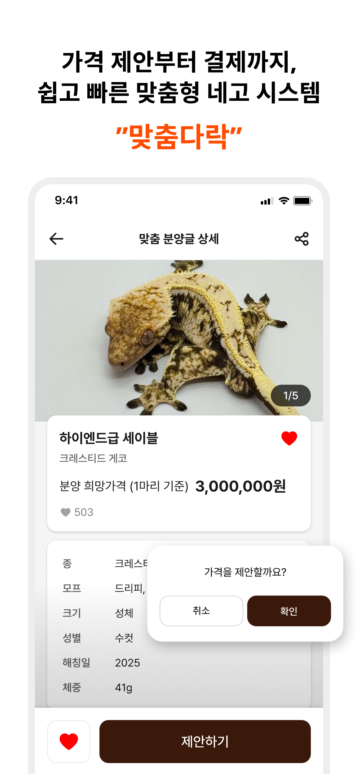 동물다락 - 열대어,파충류, 이색 반려동물 입양 플랫폼