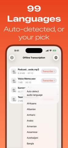 Offline privacy transcription Screenshot 5 of 5