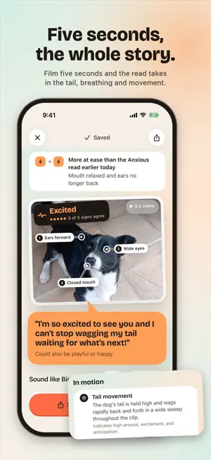 WagRead: AI Vet & Mood Reader screenshot 3