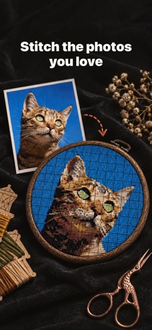 Cross Stitch Pattern Maker PDF Screenshot 1 of 5