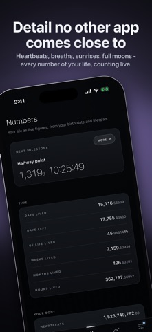 Daymark: Your Life in Days screenshot