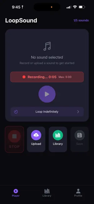 LoopSound screenshot 2